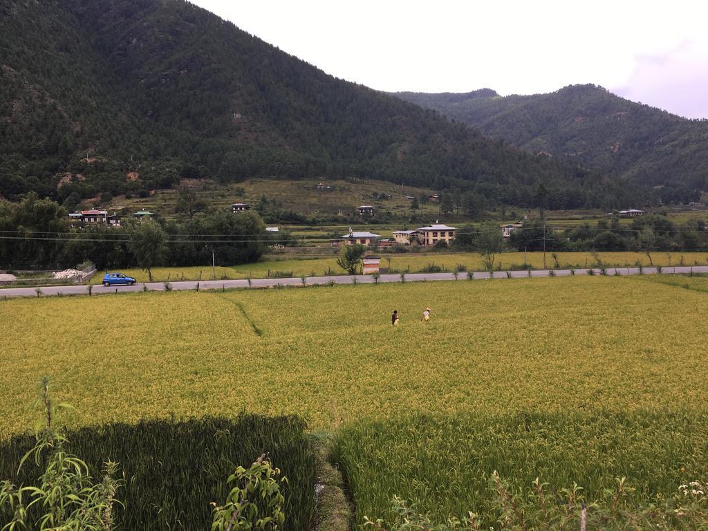 Ama'S Village Lodge Paro Dış mekan fotoğraf